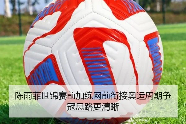 陈雨菲世锦赛前加练网前衔接奥运周期争冠思路更清晰